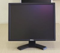 dell 19.jpg