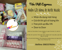 Tiến Việt Express Web.png