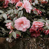 Tuyển dụng Memories BL