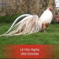 Lê Hữu Nghĩa