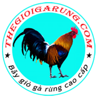 thegioigarung