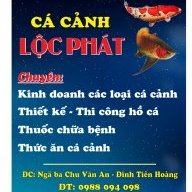 Tuấn cá cảnh